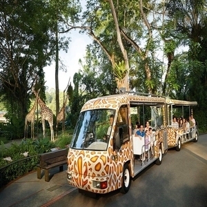 <span> Day 1 </span> Singapore